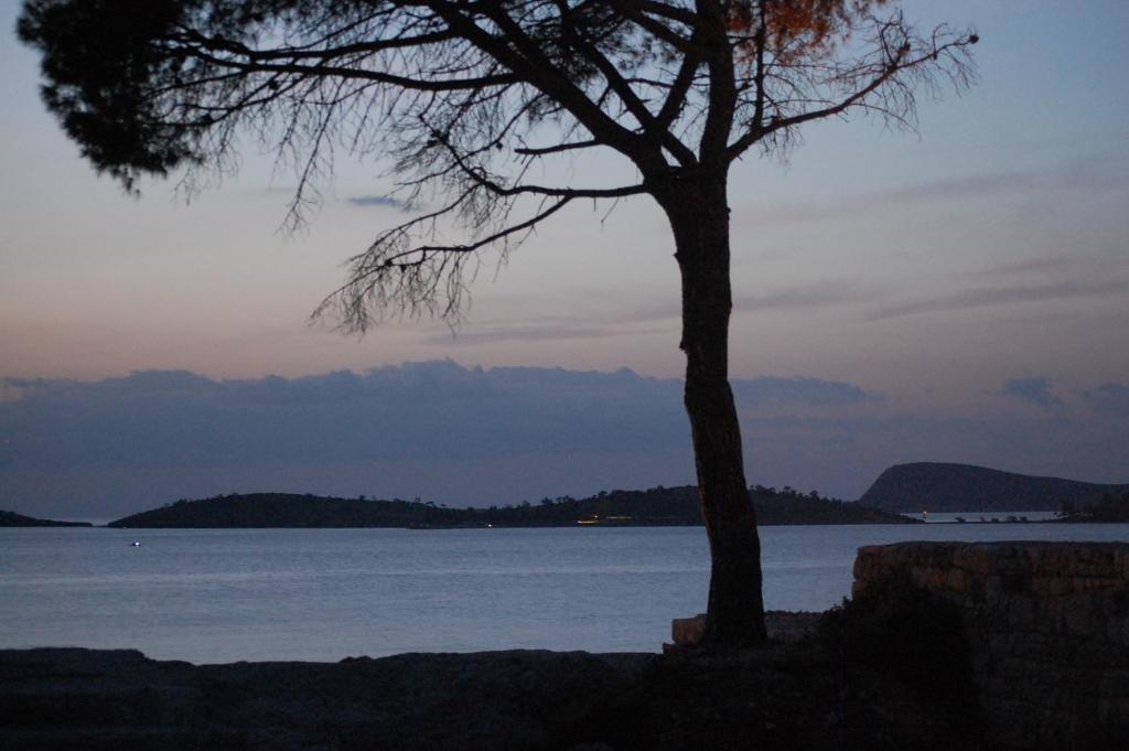 Villa Dedem Hotel Foça Bagian luar foto